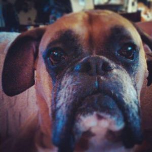 Meet your Posher, Maggie lenten